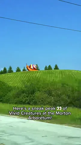 👀 Sneak peek! Don’t miss these giant animals taking over the Morton Arboretum in Lisle! Vivid Creatures opens May 17th. #VividCreatures #MortonArboretum #OutdoorArt #FamilyFun #ChicagoEvents #GiantSculptures #NatureLovers #ThingsToDoChicago #ArtInNature #WeekendPlans