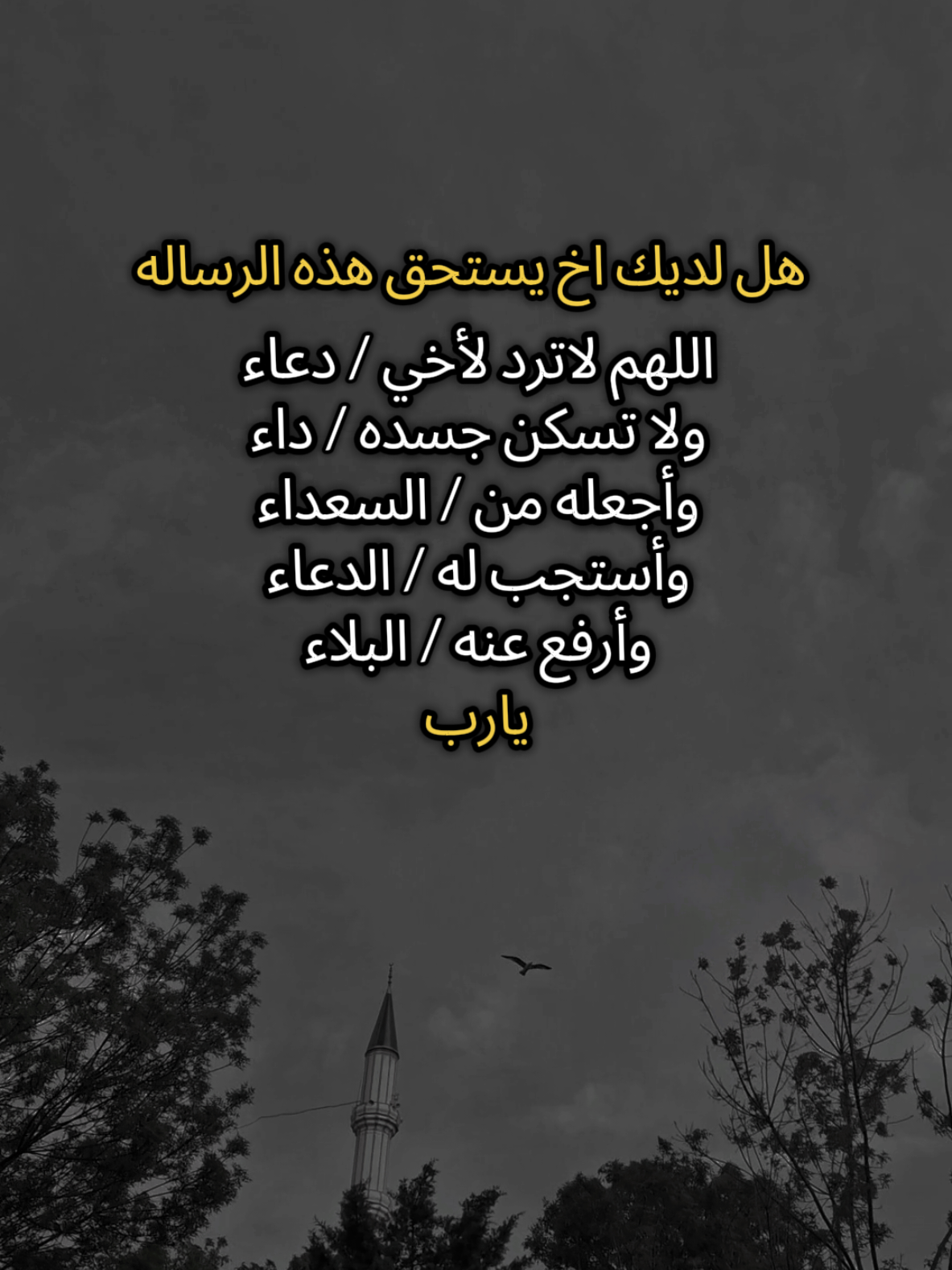 اللهم امين يارب العالمين🤲#اللهم_امين_يارب_العالمين #اخي #اللهم_صلي_على_نبينا_محمد #ماشاءالله_تبارك_الله_اذكروا_الله #بسم_الله_ماشاء_الله #الحمدلله_دائماً_وابداً #بيبي_عسولة🎀🍯 #دودو_الفرفوشة👑 #أم_حمودة👑 #أم_ماسة_سيما_عسل👑 #أم_محمد_وماسة_وسيما_وعسل🤍 #الله_مصلي_عالنبي💙 #عملولي_أعادة_نشر🥺 #اكسبلوررررررر #تصويري📸 