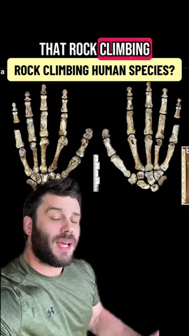 Could naledi have specialized for a unique human niche? #sciencetok #biology #evolution #naledi #animals #humanity #ancient #paleontology #archaeology #cave #hominin #LearnOnTikTok #scienceteacher #mystery 