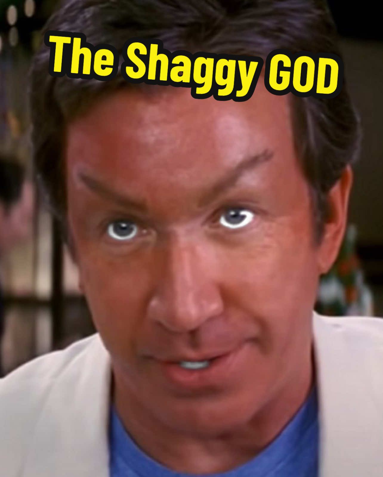 if you see tim allen on all fours run for your fucking life #theshaggydog #moviesthatdontexist #rdj #timallen #homeimprovement #curb #larrydavid #meme #3 #memes #aphextwin #fyp 