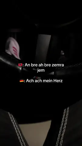 🇦🇱🇦🇱🇦🇱 übersetztung in 🇩🇪🇩🇪🇩🇪 #fyp #muc #🇦🇱 #zxycba #viral #kosovatiktok #🇦🇱🇽🇰 