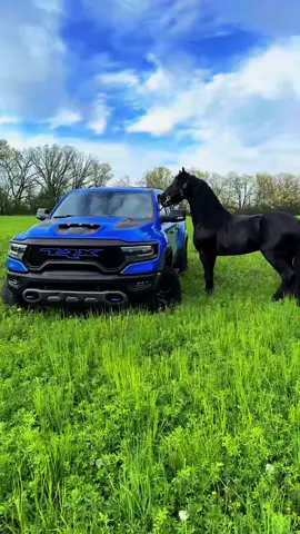 Con ustedes un poema🔥🦖🐎 #trx #horse #frison #caballosbailadores #caballostiktok #supercharger #horsepower #hp #fuerzaregida #edgardonuñez #viralvideo #fyp #foryoupage #rzr #ruta #4x4 #betokes 
