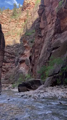 The Narrows - further you go the less people are around . markedmiles.com . #zion #Hiking #zionnationalpark #utah #hikeutah #traveltiktok #utahcheck #roadtrip #bookthetrip #waterhike #thenarrows  #roadtrips #creatorsearchinsights 
