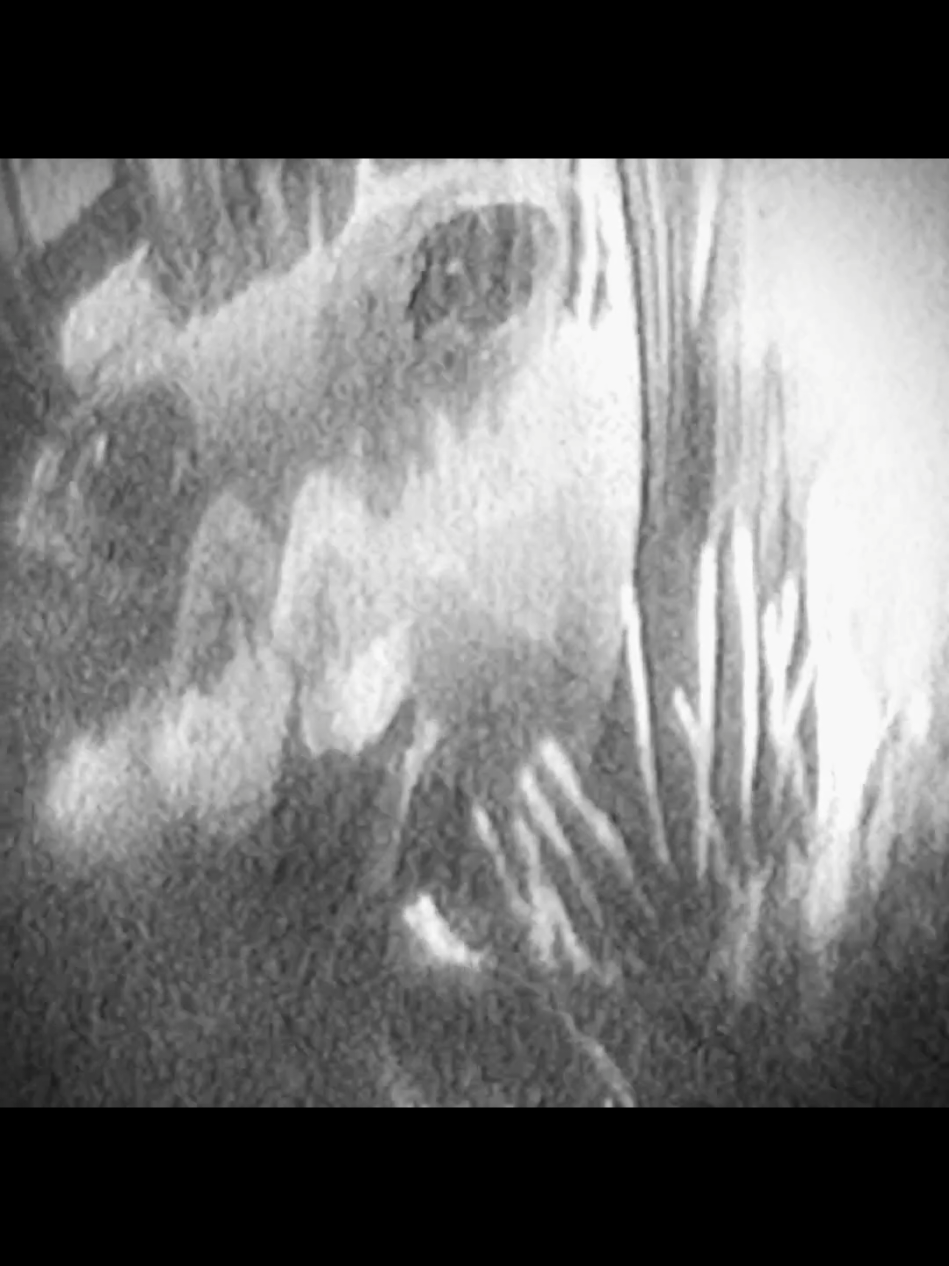 loneliness. Punpun Oyasumi / Onodera | Aiko Tanaka | Magic - Medasin #goodnightpunpun #oyasumipunpun #aikotanaka #oyasumipunpunedit #punpun #pumpunonodera #punpunedit #aikoedit #aikotanakaedit #fyp 