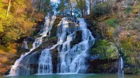 Brasstown Falls in Westminster, SC! #onthisday #nature #Outdoors #fyp #chasingwaterfalls #hikersoftiktok #waterfallwednesday #southcarolinacheck 