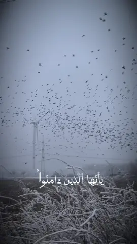 #اللهم_اجعل_القران_ربيع_قلوبنا #اللهم_صلي_على_نبينا_محمد #القران_الكريم_راحه_نفسية😍🕋 #القران_سر_السعاده #foryoupage❤️❤️ #virale #quran #استغفرالله #foruyou #fyp #لعلها_تكون_ساعة_إستجابة 