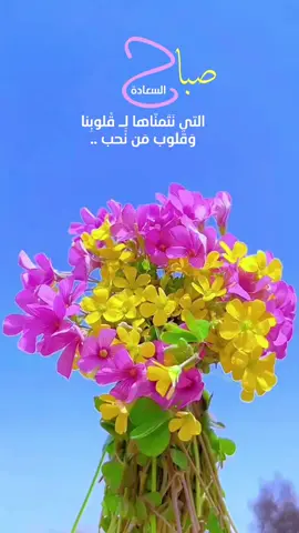 #في هذا اليوم 