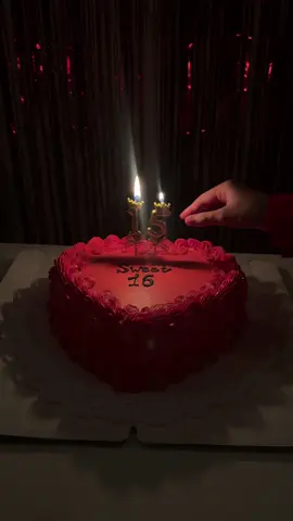 happy birthday to mee ❤️                   #happybirthday #16y #birthdaycake #fyp 