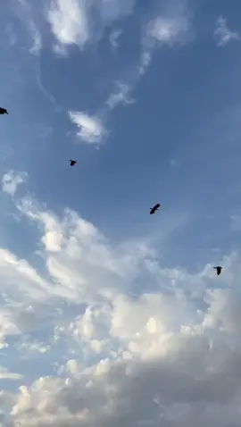 Setiap harapan membawa luka yang belum terjadi. Dan setiap tujuan menyimpan ujian yang belum diketahui. Tak ada langkah yang tanpa gemetar, tak ada doa yang tak disertai air mata. Karena jalan menuju cahaya selalu dipenuhi bayang-bayang gelap yang selalu ingin menyerah sebelum sampai. Ini memang tak mudah. langkahmu mungkin goyah. hatimu mungkin rapuh dan nyaris luruh. Tapi bukan tak mungkin..sebab Tuhan menyaksikan semuanya. Bahkan ketika tak ada satu pun manusia yang mengerti perjuanganmu.  Jadi, tetaplah berjalan meski harus merangkak, meski dengan dada yang basah oleh tangis diam-diam. karena sejatinya tak ada harapan yang sia-sia, selama kau percaya bahwa pelukan Tuhan selalu lebih dekat dari semua keraguan.