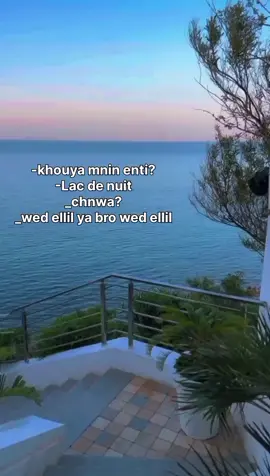 #foruyou #fact #storiescriativos 