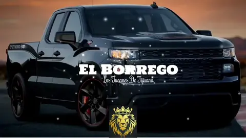 😎El Borrego🎶#musica  #lostucanesdetijuana #fy#corridos 🍺🚘🥃