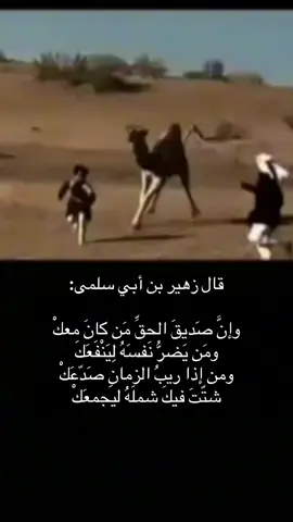 عفواً هالأبيات مو ل زهير نسبت ل علي بن أبي طالب رضي الله عنه #شعر #قصايد #قصايد #زهير 