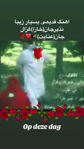 #opdezedag @nazirkhara_official @Gazal Enayat 15/5/2025 🇦🇫❤️🌹#opdezedag #foryoup #fyp 