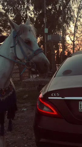 #cls63amg #mercedes #benz #erbil #kurdistan #erbil #albania #russia#🐎❤️ 