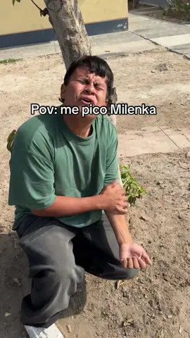 Sígueme pe :) #peru🇵🇪 #amigos #milenka #humor @Milenka_nolasco🐩💗 