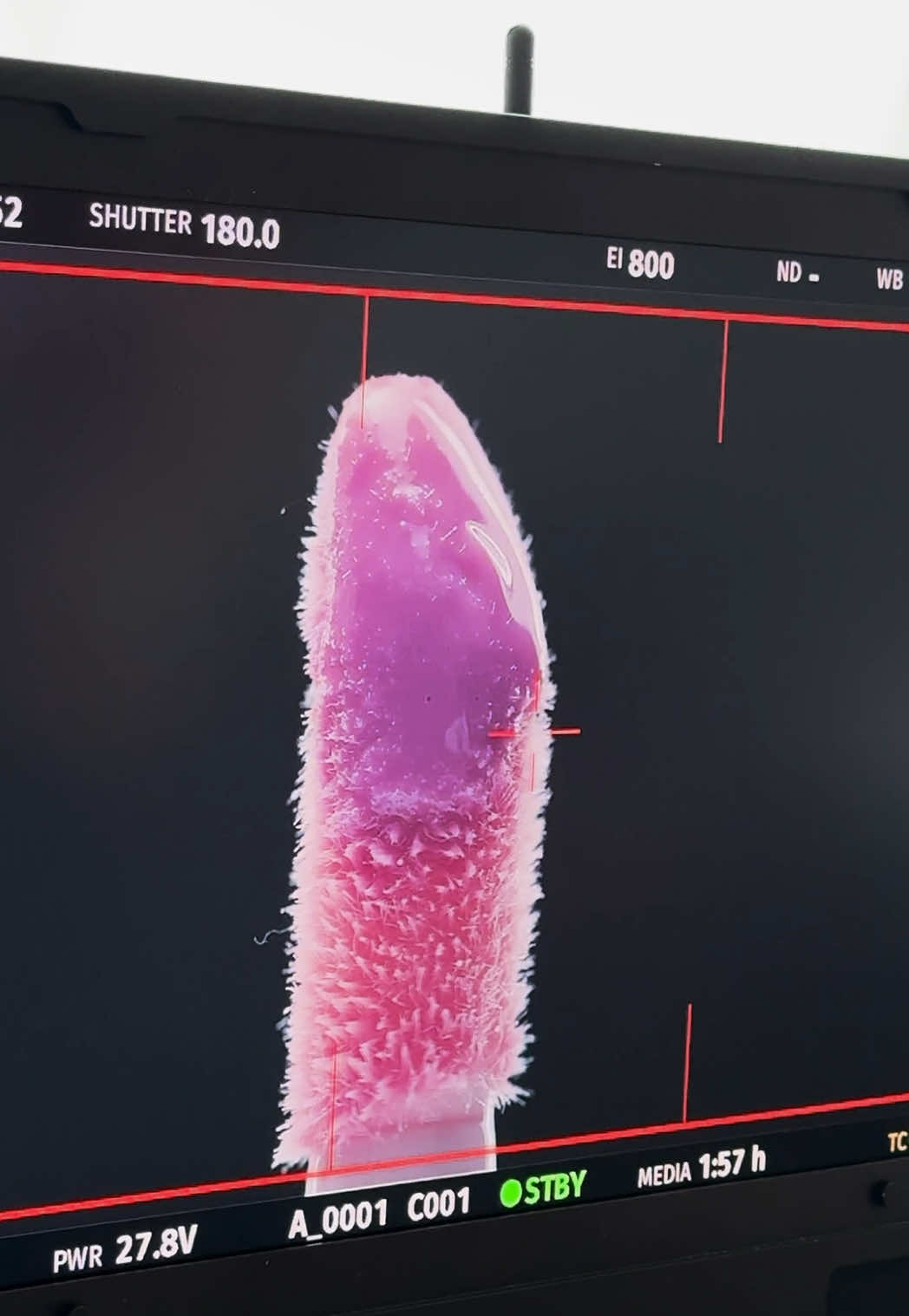 Go behind the scenes with @KATSEYE on set for our Lip Glaze campaign. A creamy, cooling lip oil delivering nourishing hydration + a sheer glaze of color—#KATSEYE approved. Dropping 5/20 at Glossier + @sephora. Join the waitlist at the link in bio.