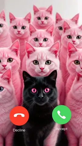 #CapCut #phonecall #magiccats3 