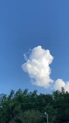 morning goods #fyp #fyppppppppppppppppppppppp #foryou #raider150fi #raider150fistreetbikeconcept🇹🇭 