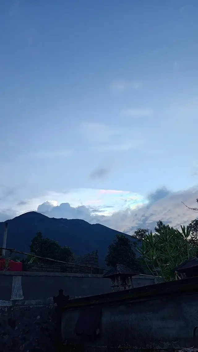 #mountain #pendakigunung #gunung #pencintaalam #pohon 