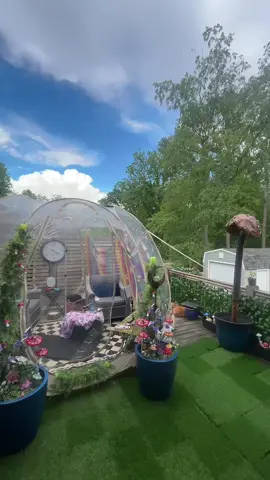 #gardentok #gardeningglobe #bubbletent #cleartent #dometents 