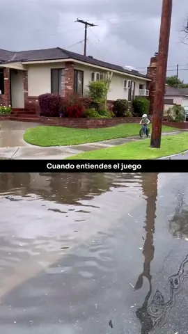 Seis reglas para una vida exitosa.