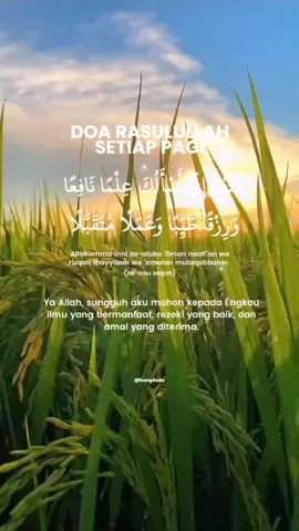 Do'a Pagi #doapagi #semangatpagi #katakatamotivasi #renungan #quotesislami #quotes #motivasihidup #fyp #CapCut 