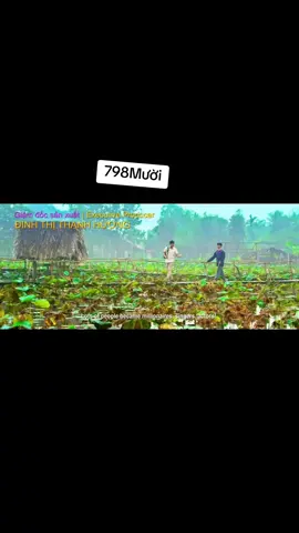 phim 798mười #phimvietnam #phim798muoi