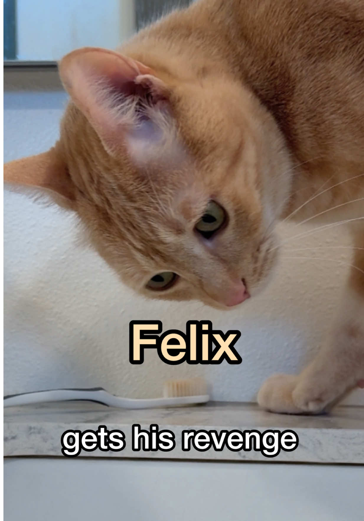 a revenge three years in the making 