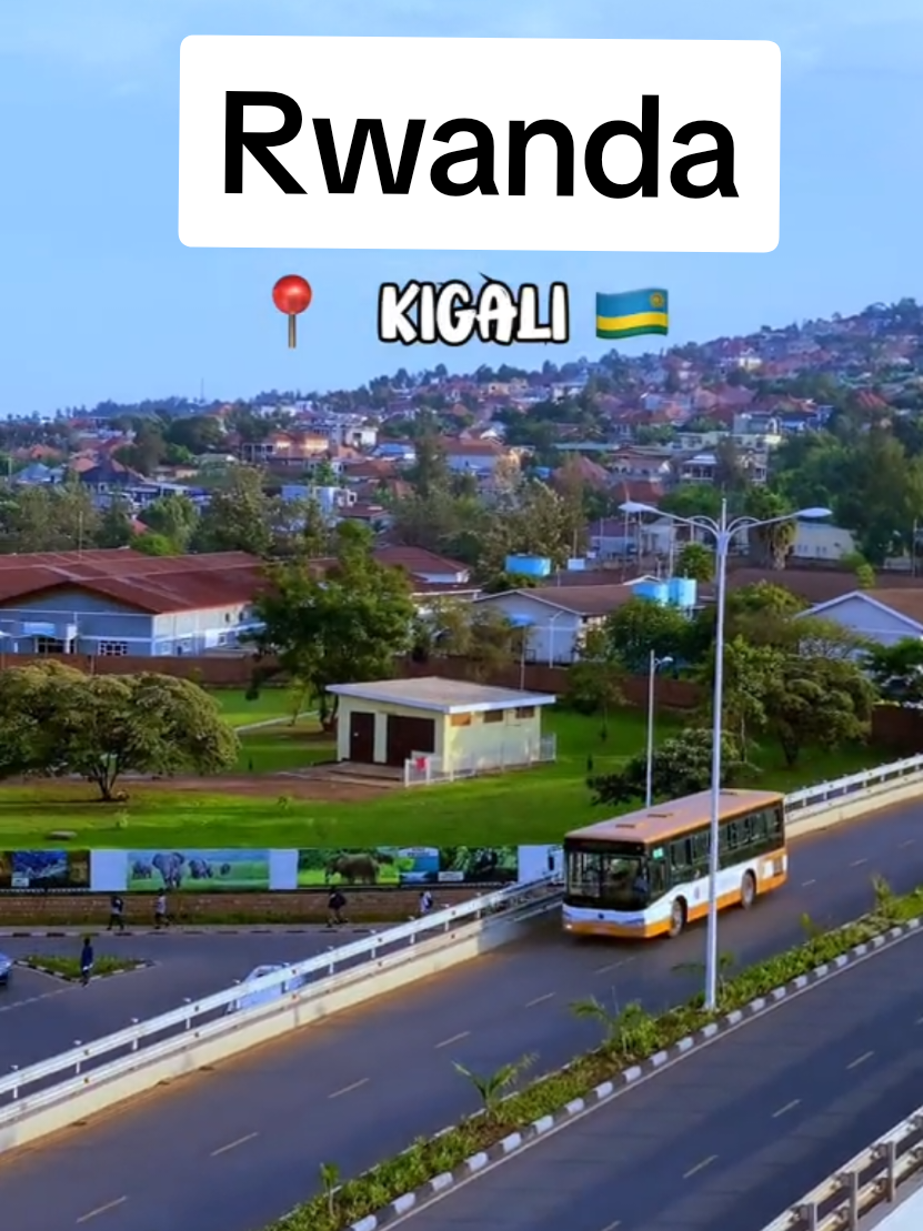 Welcome to Kigali — Africa’s cleanest and most scenic capital! From the glowing city lights to the peaceful hills, this is the future of urban beauty. Would you visit? #Hashtags: #Kigali #VisitRwanda #RwandaTheLandOf1000Hills #KigaliCity #AfricanBeauty #HiddenGems #CityViews #TravelAfrica #ExploreRwanda #CleanCity #UrbanAfrica #AfricanCities #Wanderlust #NatureMeetsCity #ModernAfrica