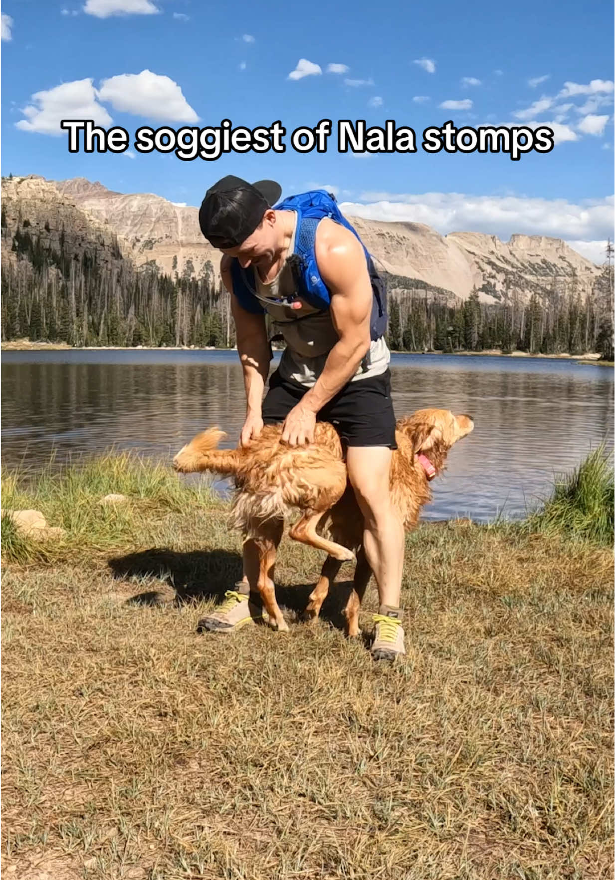 In honor of soggy stomps season approaching, I have put together a small compilation of the soggiest Nala stomps. I love when we get full liftoff and double stomps 🤣