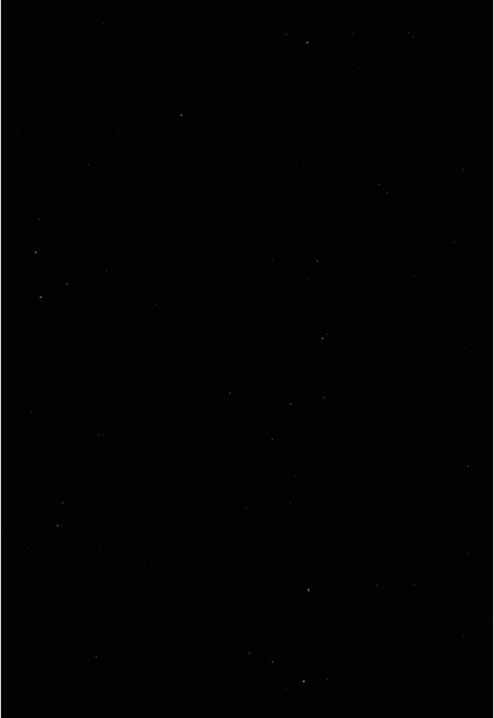 [ holaaaa ] Ya me voy a activar 🥹#paratifypシ #viralvideos #rol #hola #doritosflatlife #dediquen💘👀 #rol 