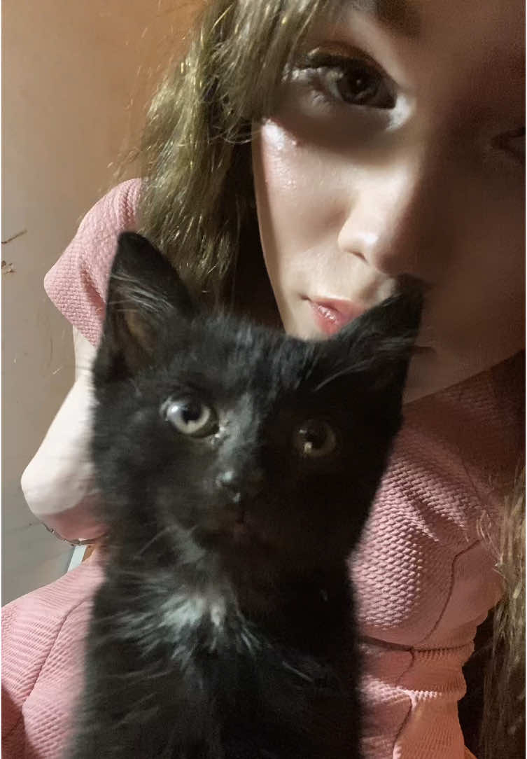 #fyp #relatable the smile you bring to me🥺🐈‍⬛🌻