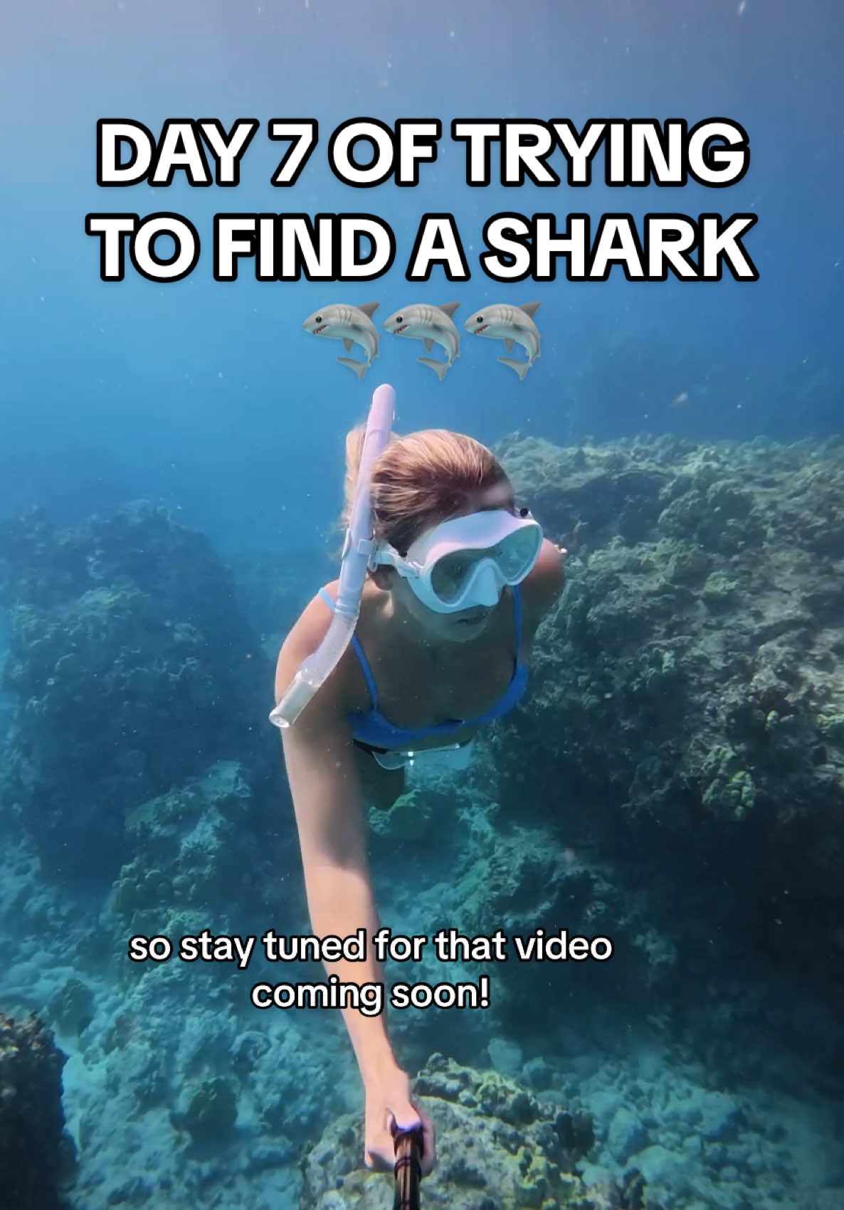 WHY was Adam sticking his TOES in front of the eel’s face 😱🤦‍♀️ #hawaii #hawaiitrip #hawaiitravel  #hawaiibeach #konahawaii #thebigisland #thingstodohawaii #travelblogger #ocean #sharks 