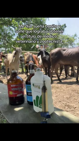 #ganaderia #paratii #vererinario#zootecnista #📍✨📈🙇🏻🙌🏼🎰💸