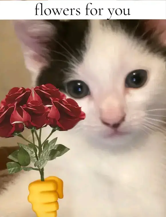 #pinterest #cat #flowers #ilovecats