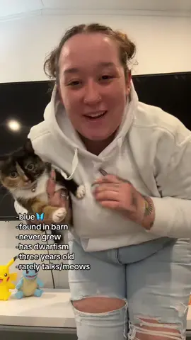 Our little best friend 🫶🏽 #calicocats #kittensoftiktok #ittybitty #parttwo 
