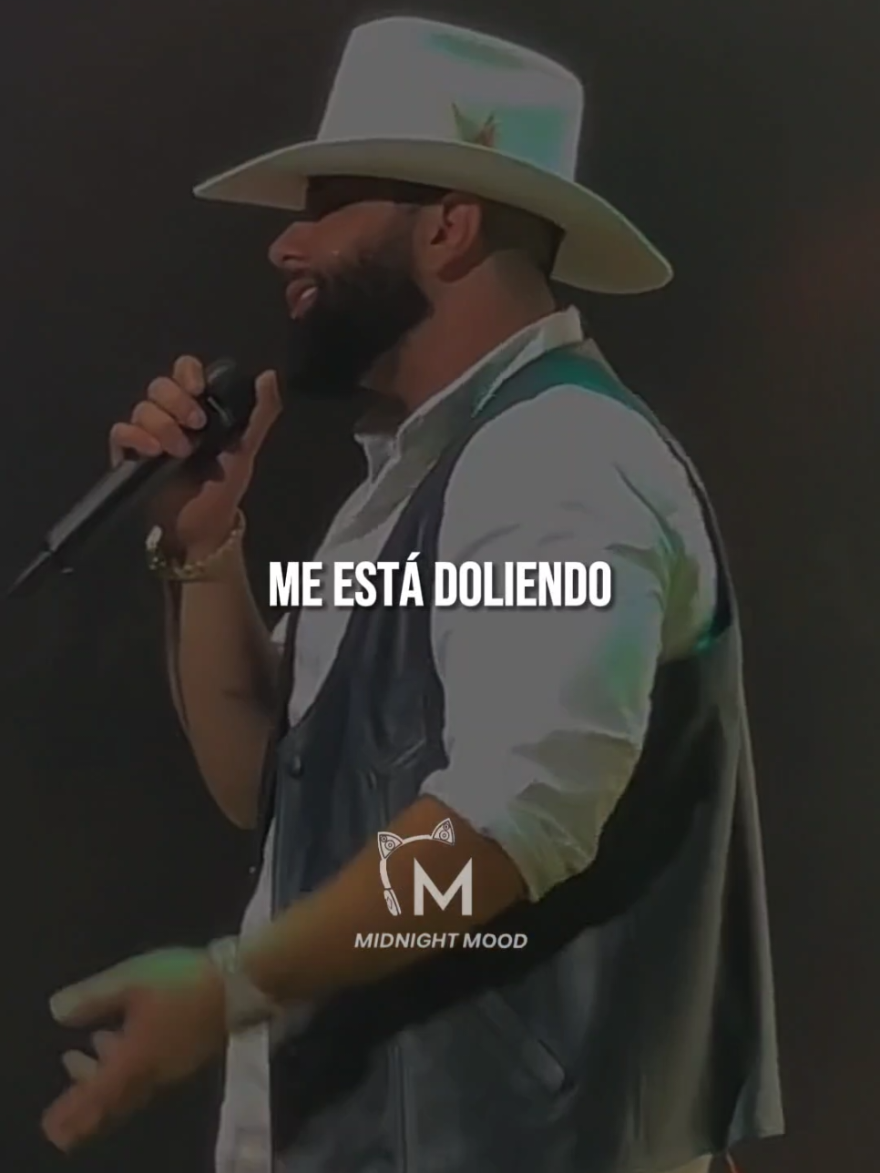 Canciones que duelen 🥀💔 #meestadoliendo #carinleon #alejandrofernández #parati 