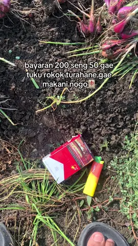 sulubik😂#pemudarungkad 