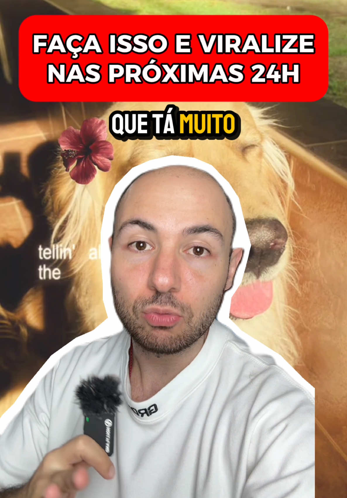 Faça isso e viralize nas prócumas 24h - Novo Template CapCut de pet - Novo Modelo CapCut puppies - Nova Trend Viral de cachorro #CapCut #dogs #dogsoftiktok #cachorro #pet #PetsOfTikTok #trendviral #trending #trend #fy