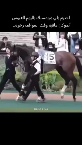 #نجران #fyp #explore #خيل_وخياله🐎 #سباق 