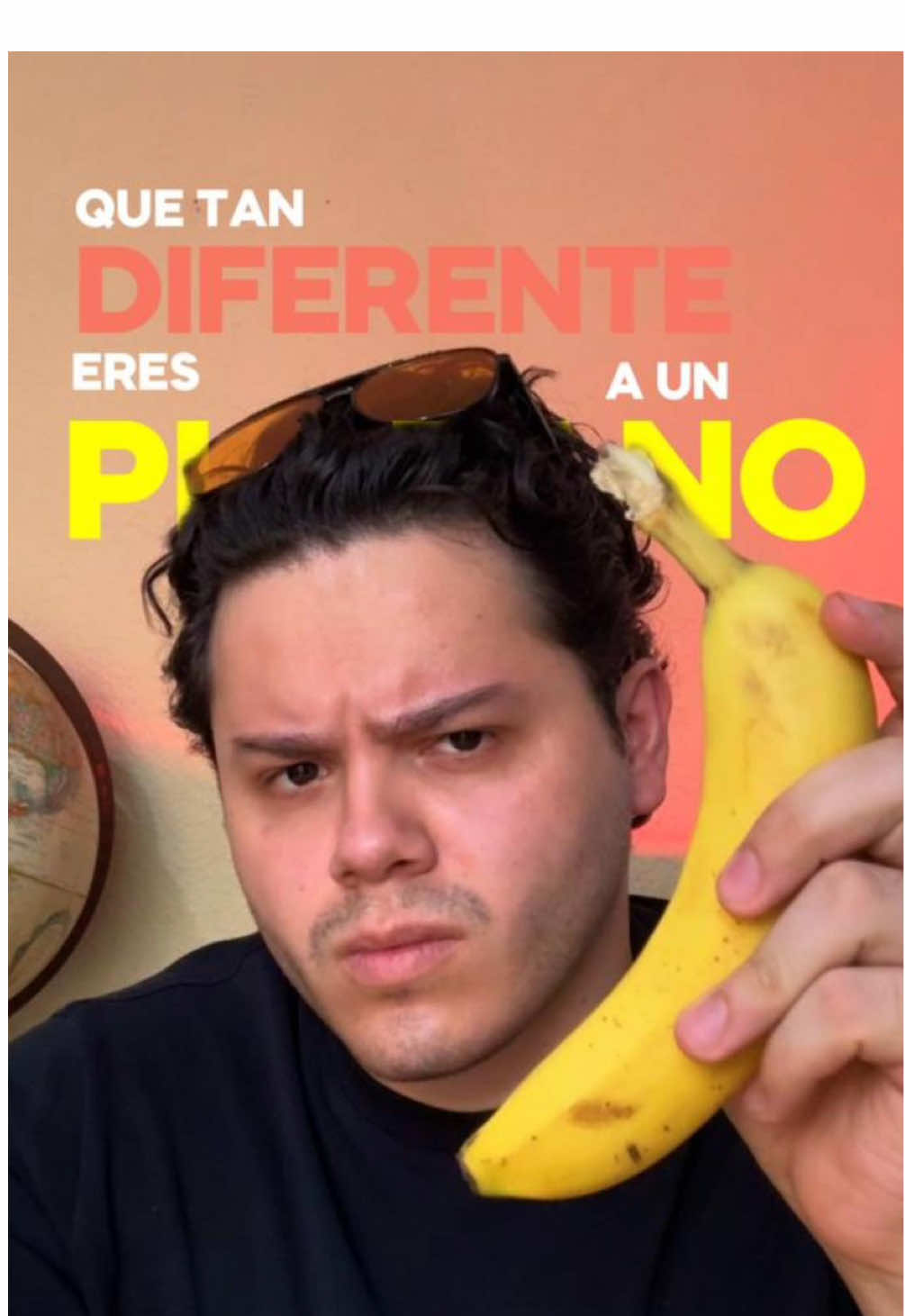 #gabogabb #datocurioso 
