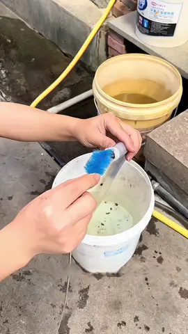 Cọ vệ sinh ống in out #thuysinh #thuysinhngoaitroi #covesinhonginout #dungcuvesinhonginout 