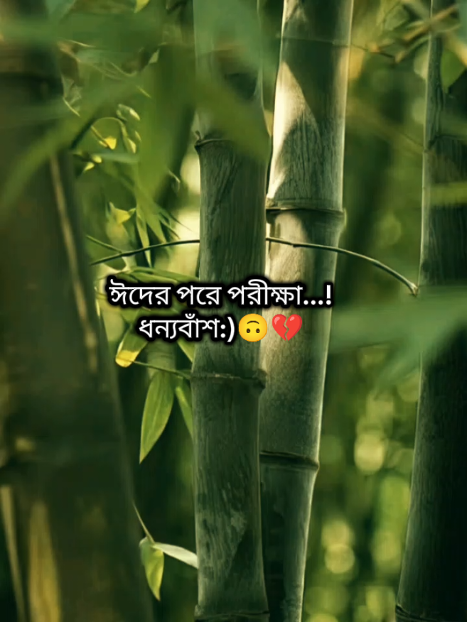 ঈদের পরে পরীক্ষা ধন্যবাঁশ:)🙃💔😫