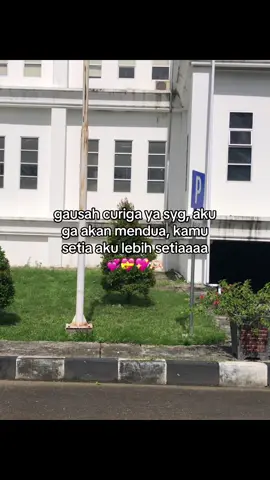 #galaubrutal 