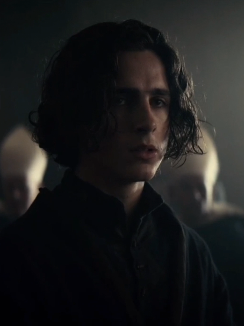 the king || #timotheechalamet #theking #medieval #medievaltiktok  #medievalhistory #hal #henryv #lilyrosedepp #princesskath #goldenbrown #thestranglers #fyp#fypp #foryoupage #zyxbca #parati #paratiiiiiiiiiiiiiiiiiiiiiiiiiiiiiii #edit #trendingvideo #viral 