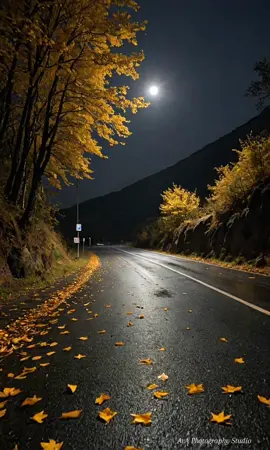 Sad and lonely nature....#cinematic #aesthetic #rain #sad #moon #relax #nature #moment #videography #photography #fyp 