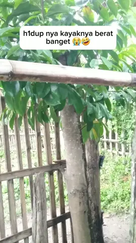 asli ap4 ya 🤔 #komedi #kontenlucu #ngakak #viralvideo #fyppppppppppppppppppppppp #reels 