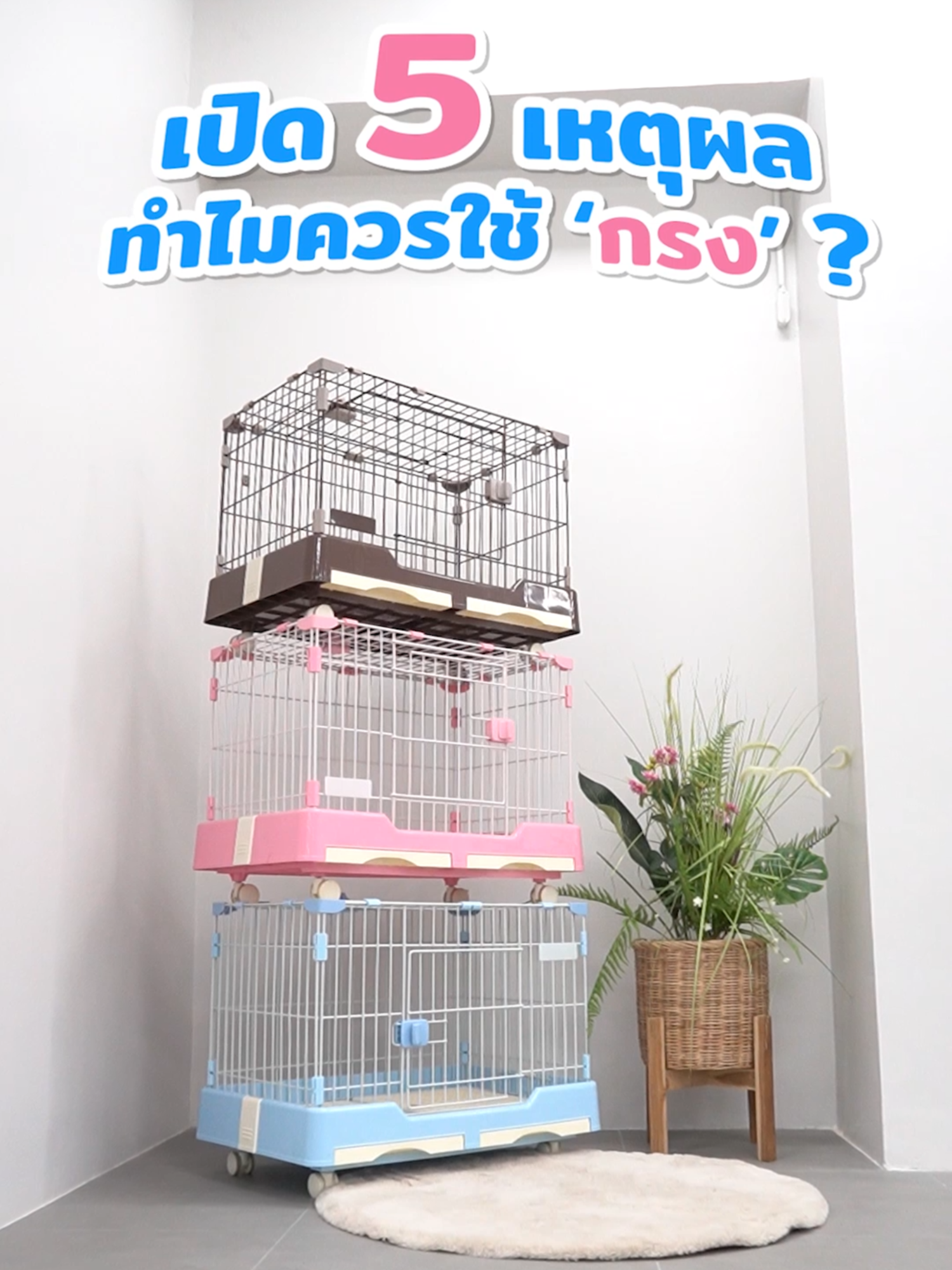 ทำไมควรมีกรงให้สัตว์เลี้ยง คลิปนี้มีคำตอบ ✨ #กรงราคาพิเศษ เคลือบสีกันสนิม มีถาดรอง ล้อเคลื่อนที่ได้ ขนาด 48x73x55 ซม. มี 3 สี น้ำตาล/ชมพู/ฟ้า สนใจสั่งเลย!