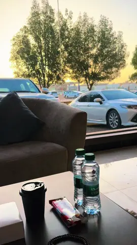 #المنصوره🦅❤️ 
