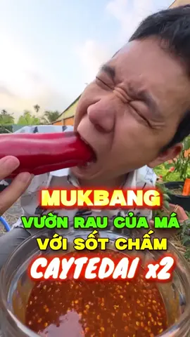 Mukbang hết vườn rau của má với Sốt Chấm CayTeDai x2 #lamvlog #caytedai #caytedaix2 #mukbang #xuhuong #trending